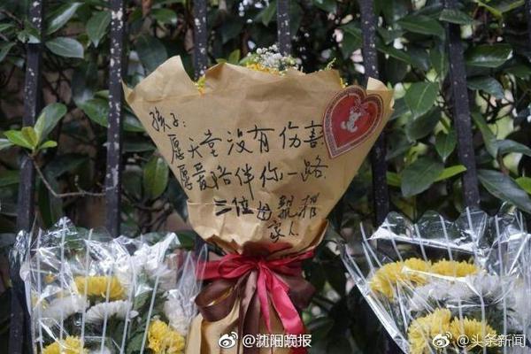 体坛：FIFA精英教练项目启动，马晓旭等20位女性教练参加